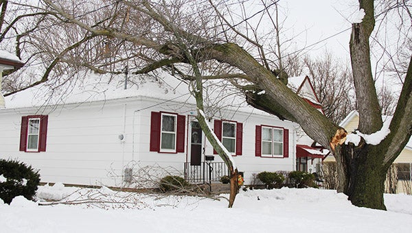 A tree fell Thursday on the home of Debbie Christensen, 1427 Todd Ave. -- Tim Engstrom/Albert Lea Tribune