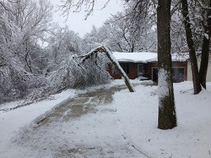 A tree fell over the Bergdale’s home, but they were still able to get out to get Kristin to the hospital. -- Submitted