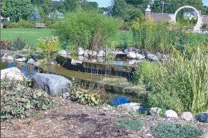 Carol Hegel Lang took this photo at Central Gardens in Clear Lake, Iowa. She recommends a visit there to anyone who enjoys gardens.