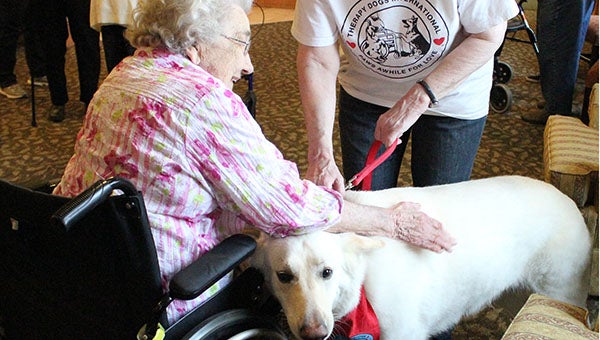 Agnes Sampson pets Willie, a therapy dog who visits Oak Park Place in Albert Lea. --Kelli Lageson/Albert Lea Tribune