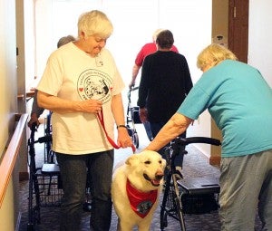 Residents stop to pet therapy dog Willie during a walk on Friday.