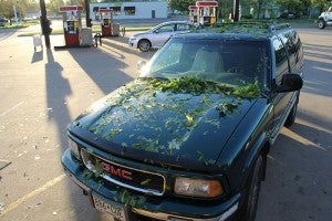 Leaves cover a GMC Jimmy belonging to Wells resident Tom Neubauer on Thursday morning. Many of the automobiles in Wells looked like this Wednesday evening after a severe thunderstorm nailed the Faribault County town. -- Tim Engstrom/Albert Lea Tribune