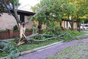 Part of a tree is down at Good Shepherd Lutheran Church in Wells on Thursday morning, while the other portions of the tree are threatening to fall. -- Tim Engstrom/Albert Lea Tribune