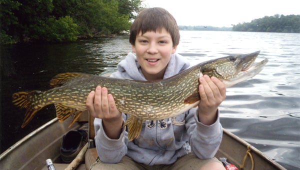 Gavin Lawrence of 1406 Plainview Lane, Albert Lea, caught this 6-pound northern pike in Fountain Lake, using a rapala lure. The fish was caught and released. Send your fish photos to tribsports@albertleatribune.com. Information should include the name, address, species, length, weight, body of water where it was caught and bait used. — Submitted