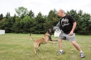 Austin K-9 officer Matt Holten goes through bite training with partner Sonic Tuesday afternoon. Holten is nearing completing training Sonic. -- Eric Johnson/Albert Lea Tribune