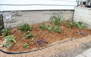 Landscaping was updated at a home on James Avenue as part of the Rocking the Block initiative.