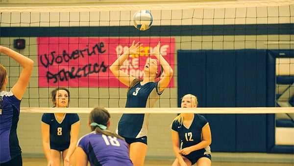Madi Ziebell sets the ball Tuesday during a match against Grand Meadow. The Wolverines lost 3-0 at home, despite pushing Game 3 past 25 points. Ziebell had 17 digs, seven kills and two blocks. — Micah Bader/Albert Lea Tribune