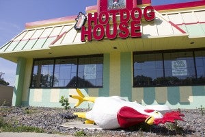 The chicken that normally stands in front of the Hotdog House on Broadway lies on the ground Saturday afternoon with a broken left leg. -- Tim Engstrom/Albert Lea Tribune