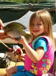 Addie Nielsen caught a sunfish on Little Toad Lake near Frazee. Send your fish photos for a chance to be the Catch of the Week to tribsports@albertleatribune.com. Information should include the name and address of the angler, as well as the species, length, weight of the fish, the body of water where it was caught and the bait used. — Submitted