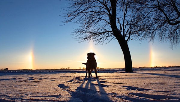 Ruth De Haan of Hollandale took this photo of her dog, Simba, standing in front of a sundog. To enter Brandi’s Photo Contest, submit up to two photos with captions that you took by Thursday each week. Send them to daily@albertleatribune.com, mail them in or drop off a print at the Tribune office. The winner is printed in the Albert Lea Tribune and AlbertLeaTribune.com each Sunday. If you have questions, call Brandi Hagen at 379-3436. --Submitted