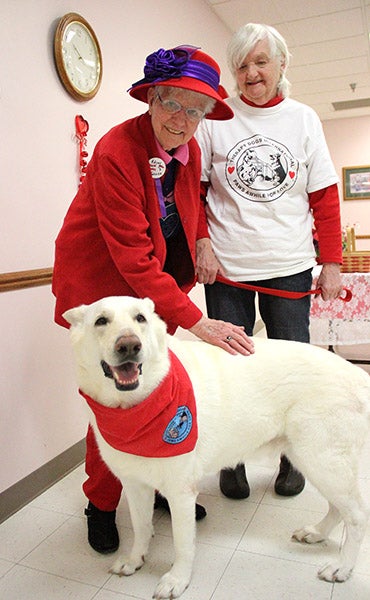 Scarlet Senior member Adean Turner, left, pets Willie while owner Lori Ashleson looks on. Willie, who is a therapy dog, visited the Scarlet Seniors at the Albert Lea Senior Center on Feb. 10. --Drew Claussen/Albert Lea Tribune 