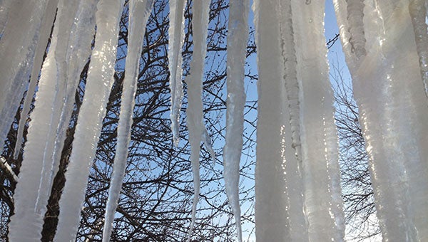 LeAnne Knox took this photo of sunlit icicles in Waseca. To enter the weekly photo contest, submit up to two photos with captions that you took by Thursday each week. Send them to colleen.harrison@albertleatribune.com, mail them in or drop off a print at the Tribune office. The winner is printed in the Albert Lea Tribune and AlbertLeaTribune.com each Sunday. If you have questions, call Colleen Harrison at 379-3436. -- Submitted