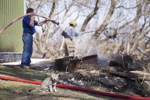 A barn cat sits to the side as firefighters put out a small machine shed and grass fire Tuesday afternoon at 17478 720th St. in rural Conger. The fire started while garbage was being burned in the backyard. – Colleen Harrison/Albert Lea Tribune
