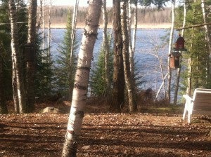Bird feeders hang from the trees by Boggy Lake on the day after the opener. — Dick Herfindahl/Albert Lea Tribune