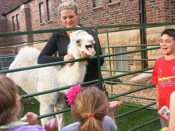 On June 9, the second night of First Presbyterian Church’s VBS program, there was a petting zoo that included a baby camel, miniature donkeys and some goats. – Provided