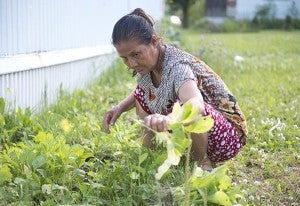 Tok Stoo works in the community garden outside a trailer that the local Karen community uses for meetings and worship services. The community grows onions, lettuce and other vegetables in the shared space. – Colleen Harrison/Albert Lea Tribune