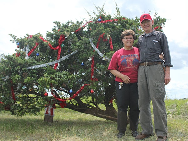 Margie and Jack Barber stand in front of a tree off of U.S. Highway 65 that they decorate with Christmas decorations each year in July. – Sarah Stultz/Albert Lea Tribune