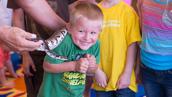 Ean Schmidt, 3, meets Razor the royal python during Brent “Zoo Man” Mielke’s visit to Albert Lea Public Library Thursday. – Colleen Harrison/Albert Lea Tribune