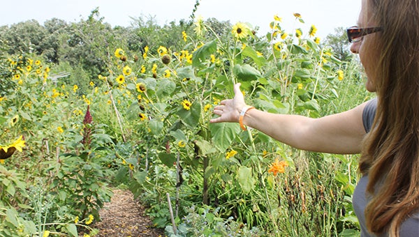 Koreen Brennan, media and marketing coordinator for the North American Permaculture Convergence, shows the permaculture garden built on the grounds of Harmony Park. About 400 people from across the country came to Harmony Park over the weekend to learn about the science. — Sarah Stultz/Albert Lea Tribune
