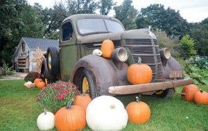 An old pick-up truck sits at Farmer John's Pumpkin Patch. This was set up for one of the many photo ops offered at the farm.– Jenae Hackensmith/Albert Lea Tribune
