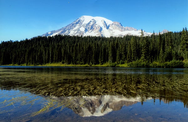 Neil Pierce took this photo of Reflection Lake and Mt. Ranier near Seattle Sept. 5. To enter the Weekly Photo Contest, submit up to two photos with captions that you took by Thursday each week. Send them to colleen.harrison@albertleatribune.com, mail them in or drop off a print at the Tribune office. The winner is printed in the Albert Lea Tribune and AlbertLeaTribune.com each Sunday. If you have questions, call Colleen Harrison at 379-3436. — Provided
