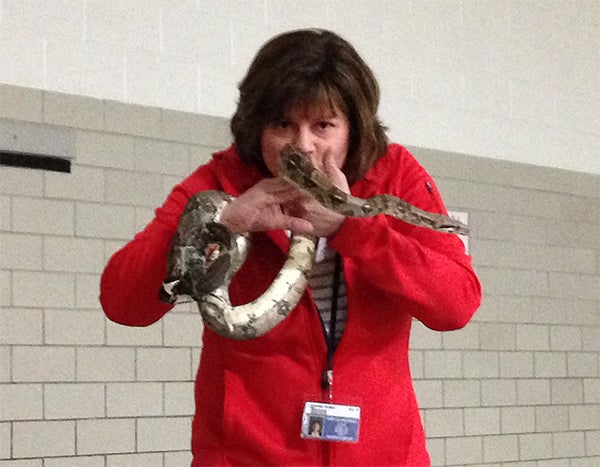 Halverson Elementary School Principal Johnanna Thomas kisses Kinko, an 8-year-old boa constrictor on Friday at the school. The students were challenged to read 3,000 books as part of I Love to Read Month in February and read 5,074 books. Thomas promised she would kiss a snake if they reached their goal. Students also enjoyed spraying Thomas with silly string. — Crystal Miller/Albert Lea Tribune