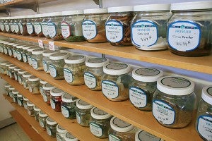 The Wintergreen Natural Foods Co-op offers the ultimate spice rack from all-spice to turmeric root. -  Cathy Hay/Albert Lea Tribune