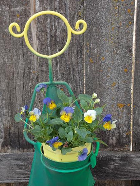 Little Miss Sunshine holds a pot of violas blooming. These hardy plants can withstand the cool spring weather. - Carol Hegel Lang/Albert Lea Tribune