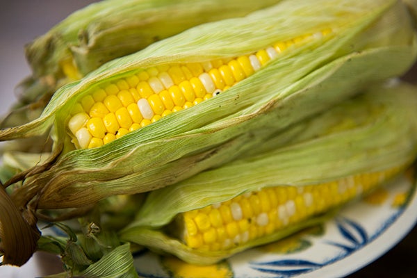 0513.corn