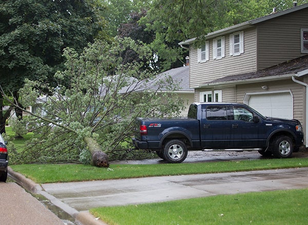 A tree limb stretches across a driveway at 308 Lloyd Place Monday morning after rain storms and strong winds earlier in the day. - Colleen Harrison/Albert Lea Tribune