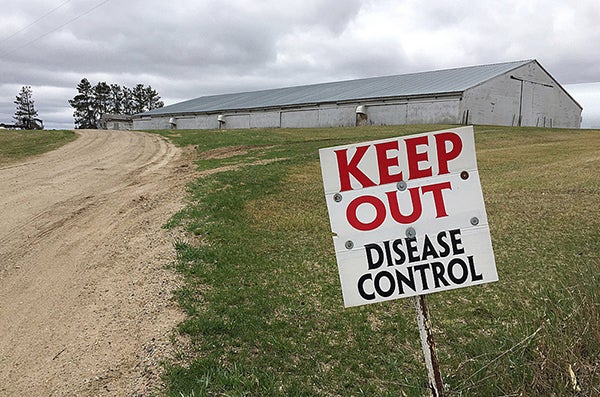 This April 20, 2015, photo shows a sign warning visitors to stay away outside a turkey farm near a Jennie-O Foods turkey processing plant in Melrose. — Kirsti Marohn/The St. Cloud Times via AP