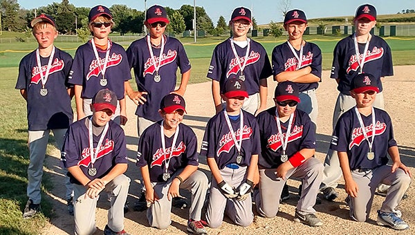 The Albert Lea 11AA baseball team took second place last Sunday at the South Central League end-of-season tournament at St. Clair. Albert Lea entered the tournament with a 12-1 record and won tournament games against Waseca and Wells before falling against Maple River in the championship. From Friday until today, the team will be competing at the state baseball tournament in Mankato. Front row from left are Cameron Davis, Nic Olson, Carson Knutson, Max Hacker and Max Edwin. Back row from left are Cole Glazier, Trey Hill, Landon Stadheim, Mason Griffith, Jonathan Rodreguis and Colin Madson. Not pictured are Xavier Schumacher and Ethan Flatness. The team is coached by Jeremy Knutson, Jeremy Griffith, Kevin Davis and Dustin Olson. — Provided