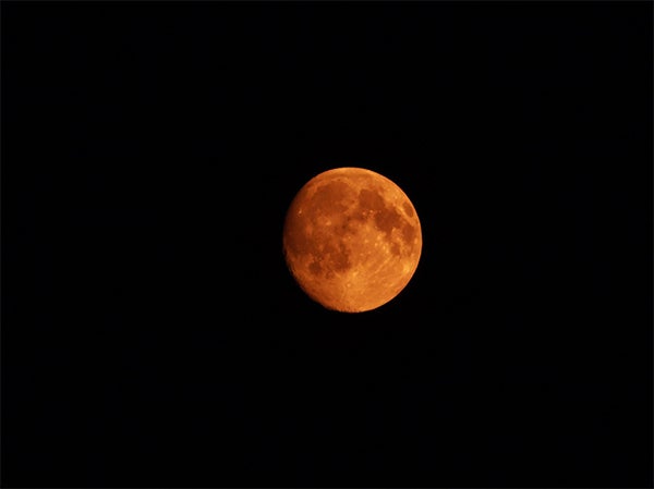 Ruth Olson of Albert Lea took this photo June 29 of "The Orange Moon at Midnight." To enter the weekly photo contest, submit up to two photos with captions that you took by Thursday each week. Send them to colleen.harrison@albertleatribune.com, mail them in or drop off a print at the Tribune office. The winner is printed in the Albert Lea Tribune and albertleatribune.com each Sunday. If you have questions, call Colleen Harrison at 379-3436. — Provided