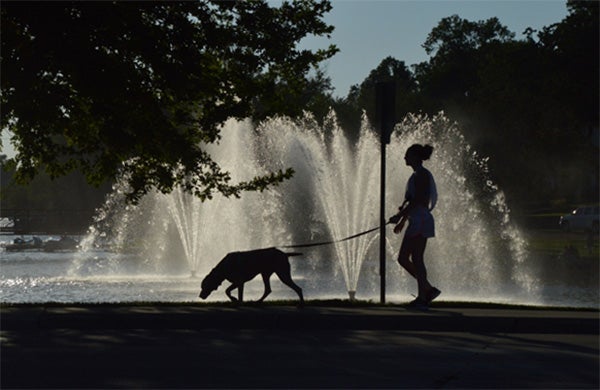 Roger Panzer took this photo by the fountains on Fountain Lake. To enter the weekly photo contest, submit up to two photos with captions that you took by Thursday each week. Send them to colleen.harrison@albertleatribune.com, mail them in or drop off a print at the Tribune office. The winner is printed in the Albert Lea Tribune and albertleatribune.com each Sunday. If you have questions, call Colleen Harrison at 379-3436. — Provided