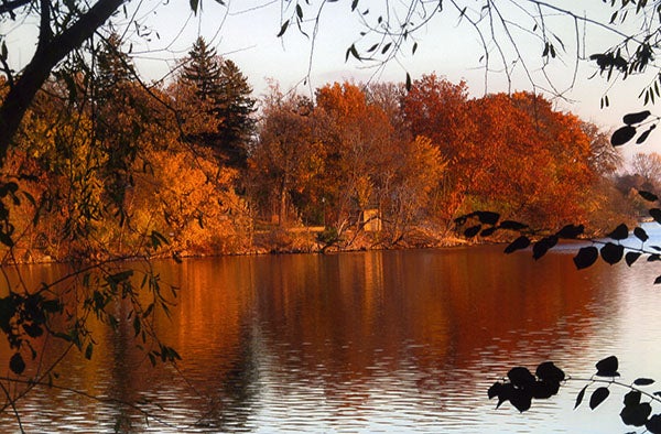 Bonita Moeller took this photo of fall foliage on Fountain Lake. To enter the weekly photo contest, submit up to two photos with captions that you took by Thursday each week. Send them to colleen.harrison@albertleatribune.com, mail them in or drop off a print at the Tribune office. The winner is printed in the Albert Lea Tribune and albertleatribune.com each Sunday. If you have questions, call - Colleen Harrison at 379-3436. Provided