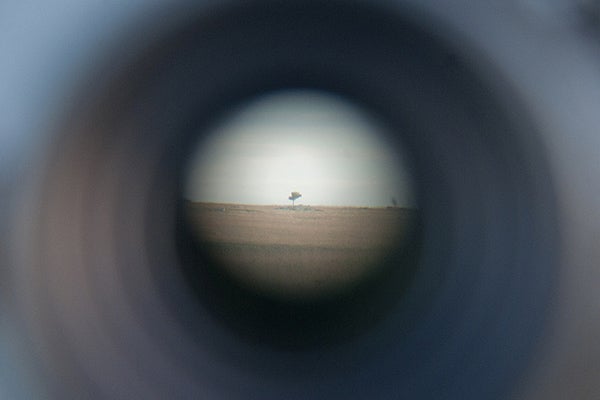 A lone tree is seen through a telescope viewfinder at Blue Mounds State Park. Entrance fees to Minnesota state parks and recreation areas will be waived Nov. 27. - Jackson Forderer/For MPR News
