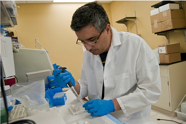 Cristian Flores prepares samples to be tested for the avian flu at the University of Minnesota Extension laboratory in Willmar. - Jackson Forderer/for MPR News