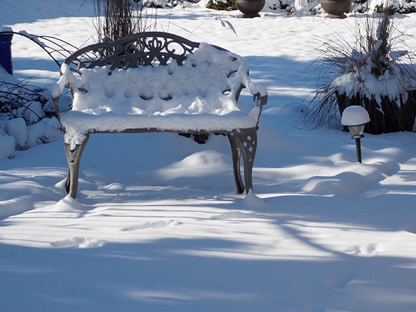 One of the benches in the garden painted with a fresh cover of snow while tracks of an animal can be seen on the ground. - Carol Hegel Lang/Albert Lea Tribune