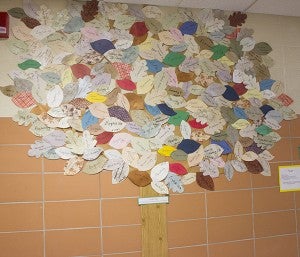 A credit tree at Albert Lea Area Learning Center marks each credit earned by students. - Sam Wilmes/Albert Lea Tribune