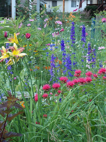 Annuals are taking over the cutting garden and hiding the perennials — such as lilies, coneflowers and daylilies — making it necessary to renovate the garden. - Carol Hegel Lang/Albert Lea Tribune