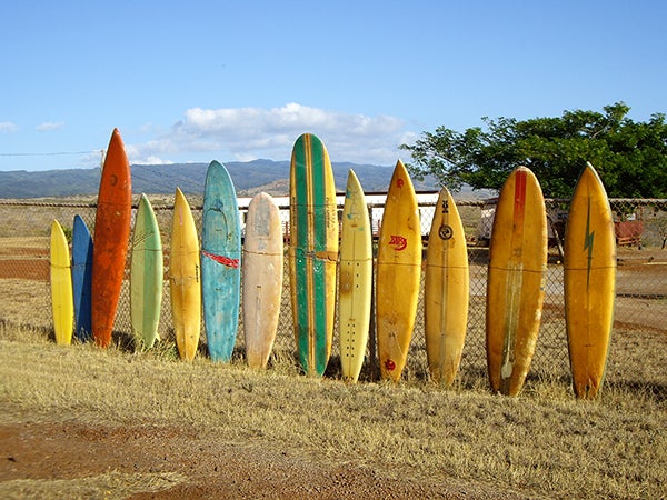 Leo Skorin took this photo of a surfboard fence in Molokai, Hawaii. To enter the weekly photo contest, submit up to two photos with captions that you took by Thursday each week. Send them to colleen.harrison@albertleatribune.com, mail them in or drop off a print at the Tribune office. The winner is printed in the Albert Lea Tribune and albertleatribune.com each Sunday. If you have questions, call Colleen Harrison at 379-3436. - Provided