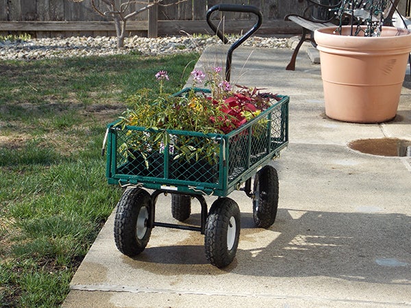 A trusty garden wagon will hold flowers that need to go into the garage at night until temperatures warm enough to plant. - Carol Hegel Lang/Albert Lea Tribune