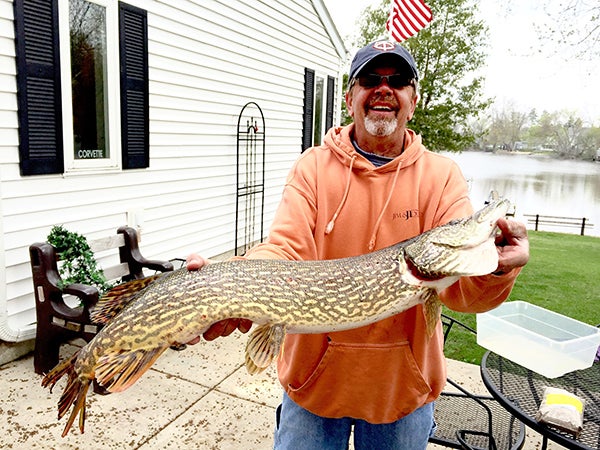 Mike Wangsness caught and released this 37-inch northern pike April 23 off the end of his dock on Dane Bay in Albert Lea. Send your fish photos for a chance to be the Catch of the Week to tribsports@albertleatribune.com. Information should include the name and address of the angler, as well as the species, length, weight of the fish, the body of water where it was caught and the bait used. - Provided