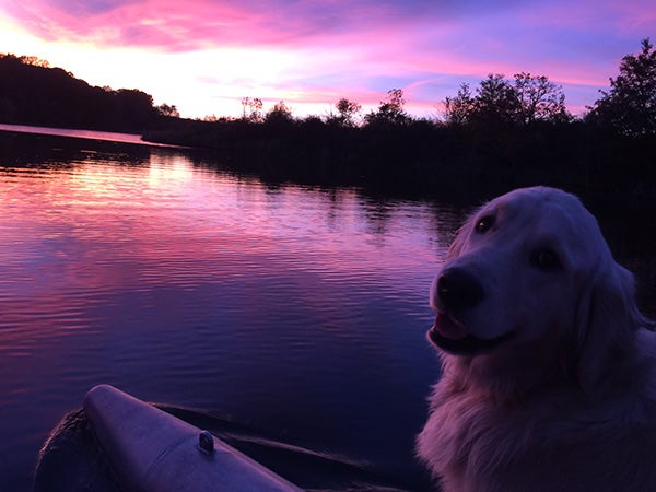 Brenda Sorenson took this photo she titled “Thank you human — what a beautiful ride.” To enter the weekly photo contest, submit up to two photos with captions that you took by Thursday each week. Send them to colleen.harrison@albertleatribune.com, mail them in or drop off a print at the Tribune office. The winner is printed in the Albert Lea Tribune and albertleatribune.com each Sunday. If you have questions, call Colleen Harrison at 379-3436. - Provided