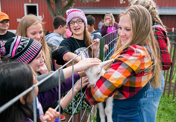 Students learn about dairy farming — with both cows and goats — Tuesday during Discover History at the Freeborn County Historical Museum. - Colleen Harrison/Albert Lea Tribune