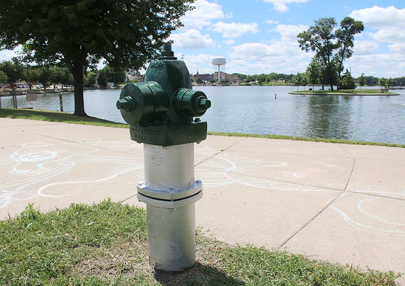 Fire hydrants around Albert Lea are getting a fresh coat of paint thanks to two local students. - Emily Wangen/Albert Lea Tribune