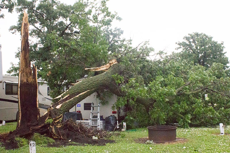 Due to heavy rain and strong winds from storms late Wednesday and early this morning, several trees were down in the area and some places temporarily lost power. Pictured, a tree came down on top of a camper at the Freeborn County Fairgrounds, reportedly trapping the campers inside. Area first responders helped the campers get out of the vehicle, and those involved were reportedly not injured.- Crystal Miller/Albert Lea Tribune