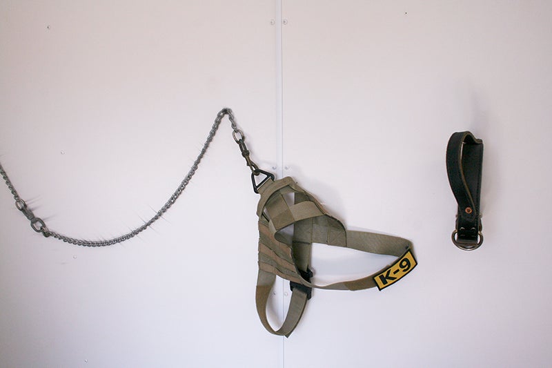 A military dog collar and harness hangs on the wall inside of the Rocky Mountain Dawgs Project trailer. - Emily Wangen/Albert Lea Tribune