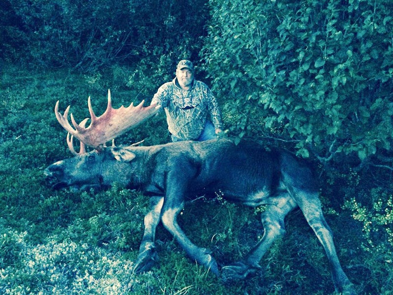 Lynn Johnson, formerly of Twin Lakes, shown here with a nice moose that had a 59 1/4 inch spread near Nome, Alaska.